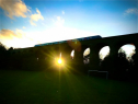 Centenary Photographic Competition (July - October 2020)